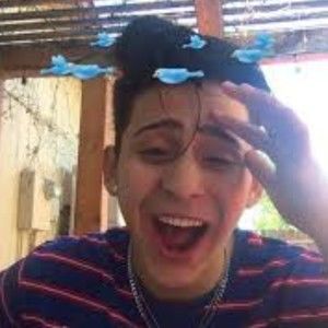 Meet your Posher, Brooklyn